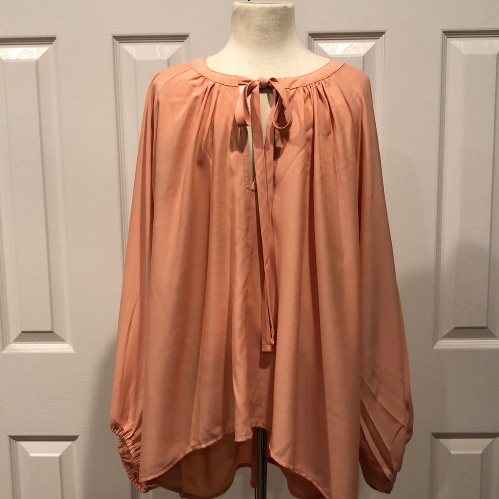 Balloon Sleeve Top 🌾